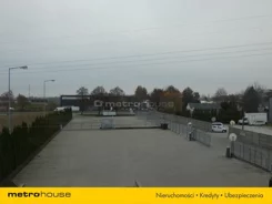 MIFU442 - zdjęcie nr 1