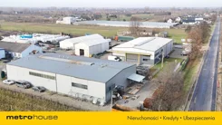 WOLINU660 - zdjęcie nr 0