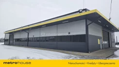 WOLINU660 - zdjęcie nr 2