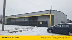 WOLINU660 - zdjęcie nr 4
