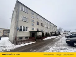 SMCANI802 - zdjęcie nr 4