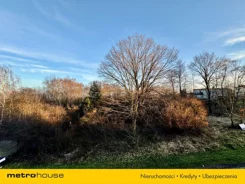 SMMACO595 - zdjęcie nr 4