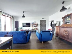 DIKI334 - zdjęcie nr 0