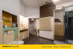 LIZU388 - zdjęcie nr 0