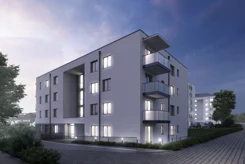 Dualis - zdjęcie nr 5