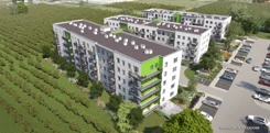 Zielone Sady III - zdjęcie nr 5
