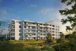 Żabiniec Vita - zdjęcie nr 0