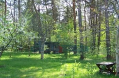2077/2145/OGS - zdjęcie nr 3