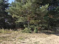 7334/2145/OGS - zdjęcie nr 3