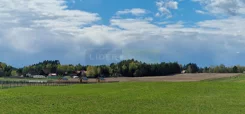 7707/2145/OGS - zdjęcie nr 2
