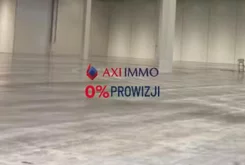 11313 - zdjęcie nr 1