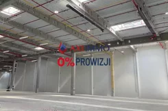 11383 - zdjęcie nr 1