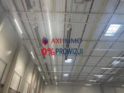11308 - zdjęcie nr 1