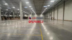 11347 - zdjęcie nr 2