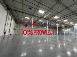 11330 - zdjęcie nr 1