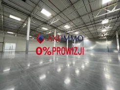 11330 - zdjęcie nr 3