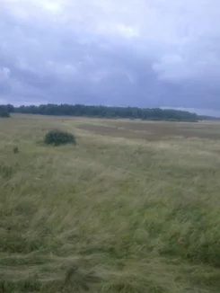 18165/3470/OGS - zdjęcie nr 0