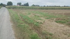 18167/3470/OGS - zdjęcie nr 0