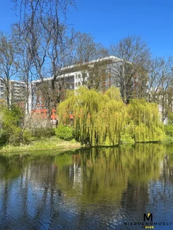 KMO-MS-2288 - zdjęcie nr 1