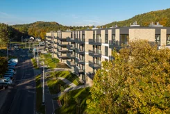 Apartamenty Cis Park - zdjęcie nr 1