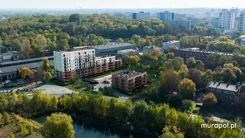 Murapol Corfa - zdjęcie nr 4