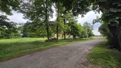 42596 - zdjęcie nr 4