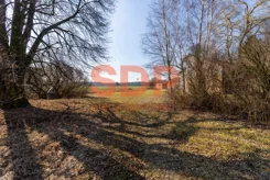 44000 - zdjęcie nr 1