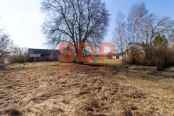 44000 - zdjęcie nr 2