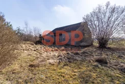 44000 - zdjęcie nr 4