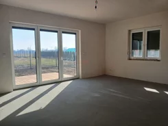 39365 - zdjęcie nr 3