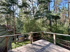 43347 - zdjęcie nr 1