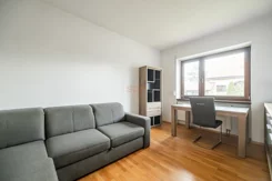 38673 - zdjęcie nr 0