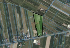 42259 - zdjęcie nr 1