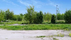 41614 - zdjęcie nr 4