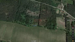 24249 - zdjęcie nr 1