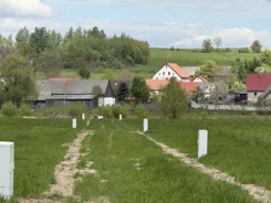 42733 - zdjęcie nr 1