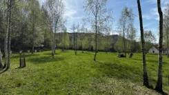 42778 - zdjęcie nr 2
