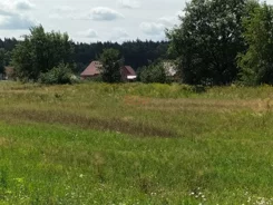 33803 - zdjęcie nr 1