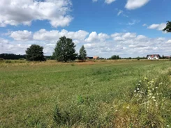 33821 - zdjęcie nr 2
