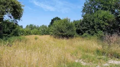 41834 - zdjęcie nr 3