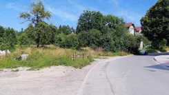 41853 - zdjęcie nr 3