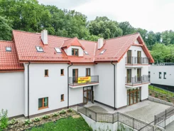 36169 - zdjęcie nr 1