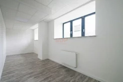 31389 - zdjęcie nr 3