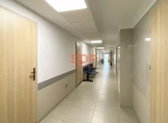 42866 - zdjęcie nr 2