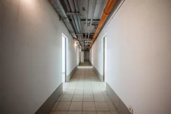 42547 - zdjęcie nr 3