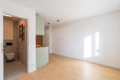 43242 - zdjęcie nr 3