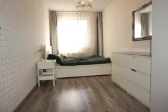 39571 - zdjęcie nr 4