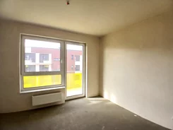 43000 - zdjęcie nr 3