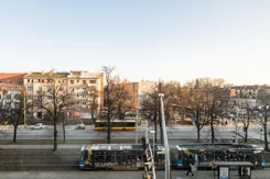 43557 - zdjęcie nr 2