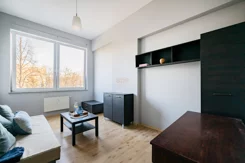 43576 - zdjęcie nr 0